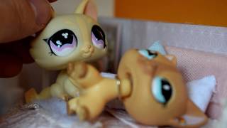 LPS: Quarantine problems