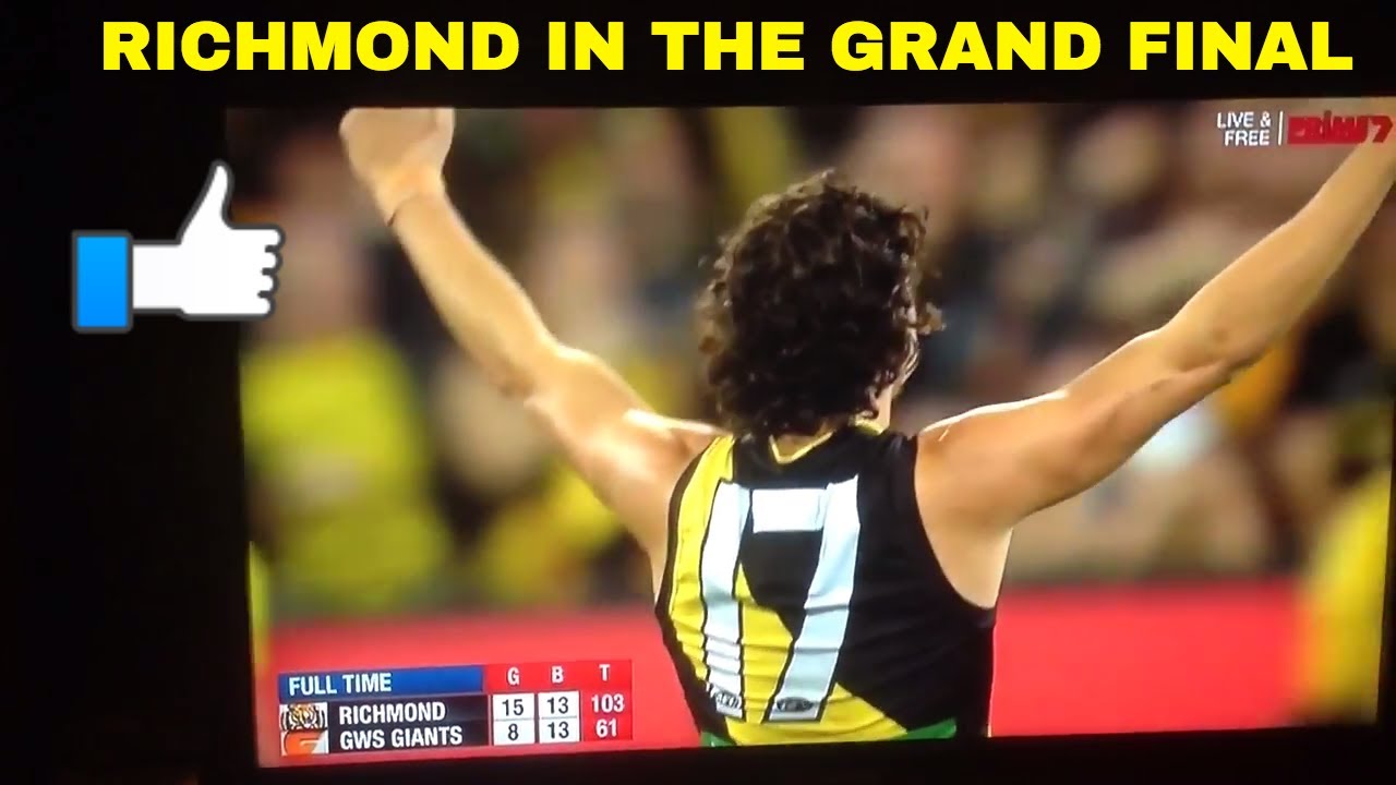 AFL-Richmond vs GWS Preliminary Final last 40 seconds ...