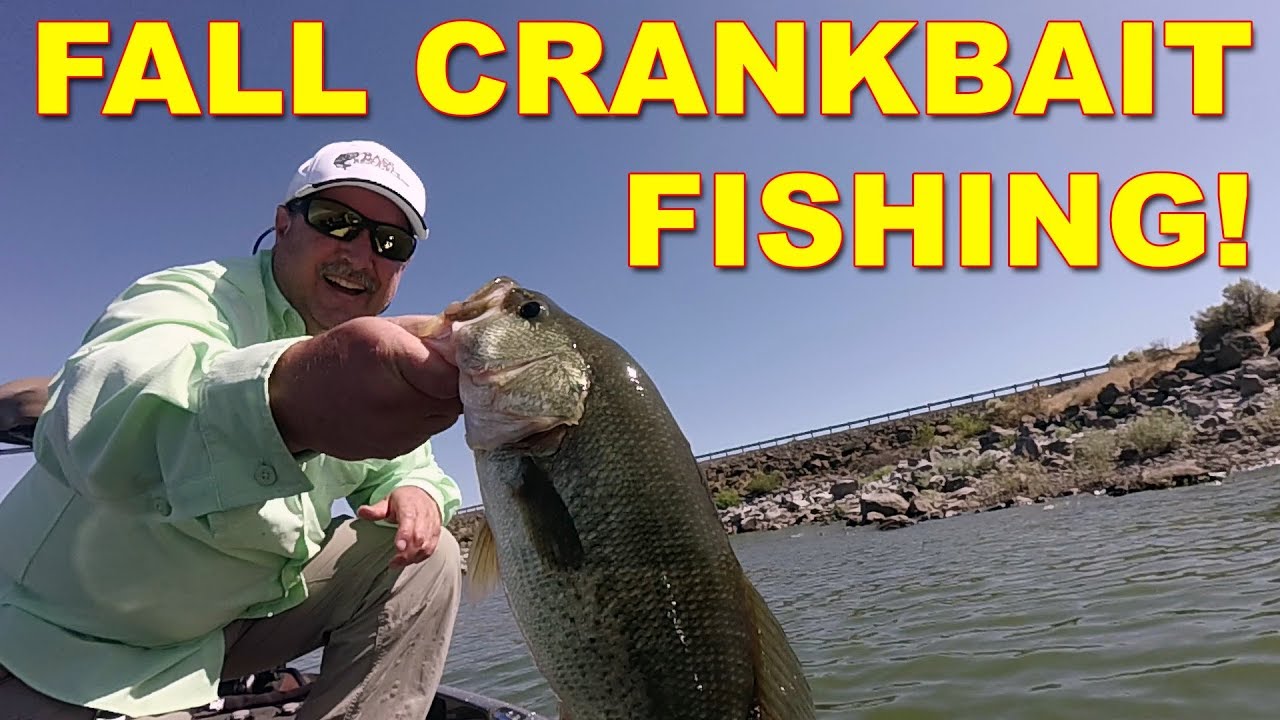 Never gotten a crankbaits bite anyone ever have this issue ! - Page 2 -  Fishing Tackle - Bass Fishing Forums