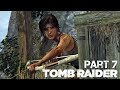 Tomb Raider - #7 - Cliffside Village - (4K60FPS) - No Commentary