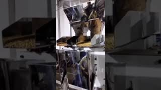 Dual head Single track  Fully Automatic Packaging Machine