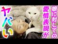 娘を愛してやまない次男猫の愛情表現がヤバすぎる…笑【ジョアとトコちゃん】