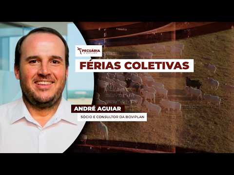 Frigoríficos usam férias coletivas para conter movimento de alta da arroba do boi
