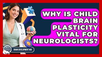 Why Is Child Brain Plasticity Vital For Neurologists? - Brain Development Hub