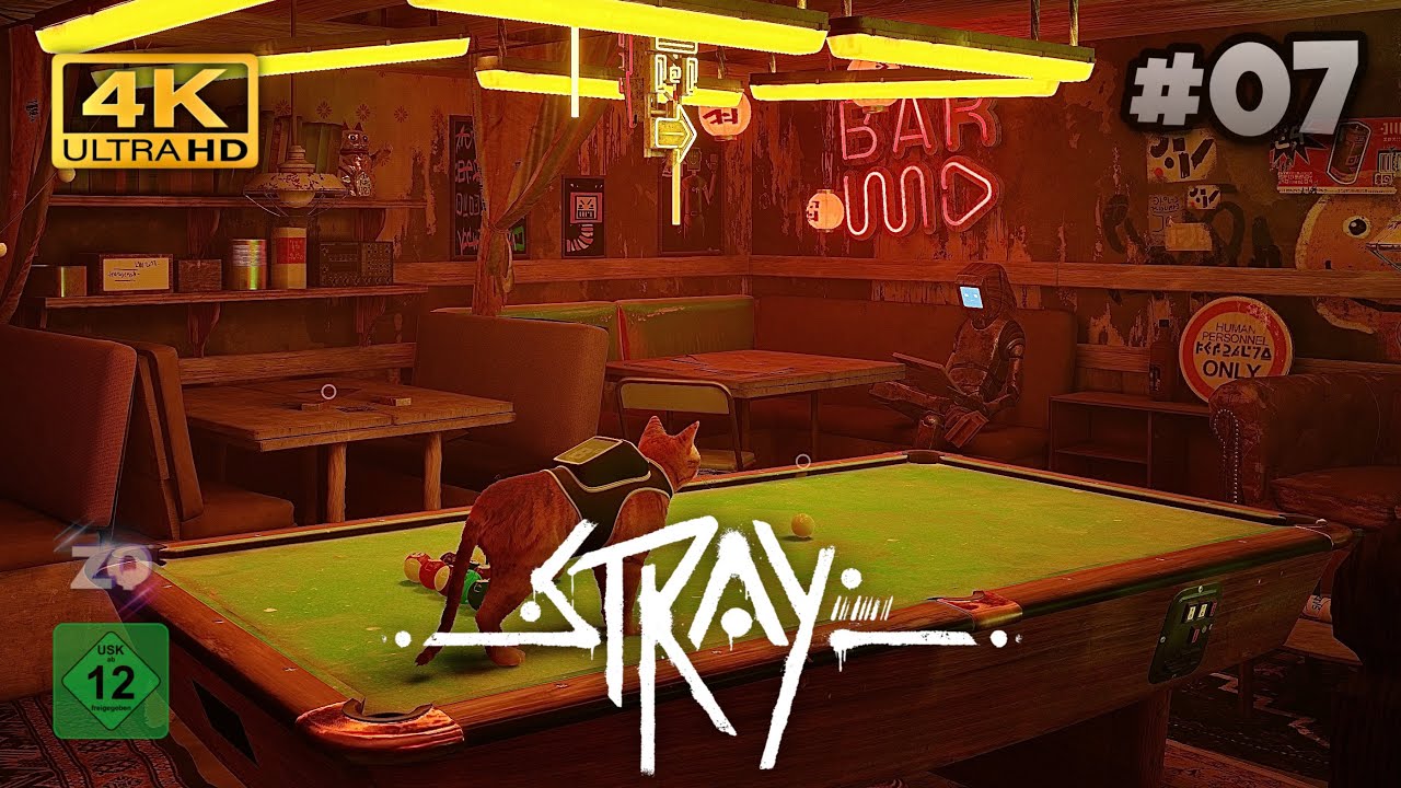 STRAY - #𝟬𝟳 Die Bar [𝟰𝗞 𝗨𝗛𝗗]
