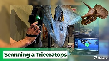 3D Scanning of a Triceratops at the Canadian Museum of Nature