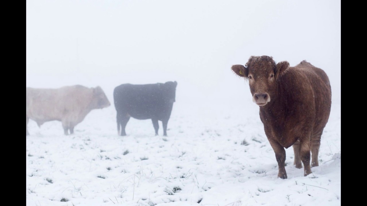 Road conditions│road conditions st louis mo│columbia mo road conditions