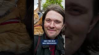 Famous Cats: Bob the Street Cat