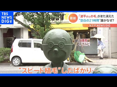 “スピード植毛”したのに…波平さんの毛がまた消えた！“空白の21時間”に何が…これで7度目「もう太い1本にするしか」｜TBS NEWS DIG