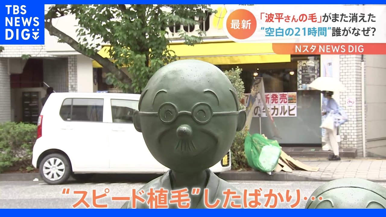 “スピード植毛”したのに…波平さんの毛がまた消えた！“空白の21時間”に何が…これで7度目「もう太い1本にするしか」｜TBS NEWS DIG