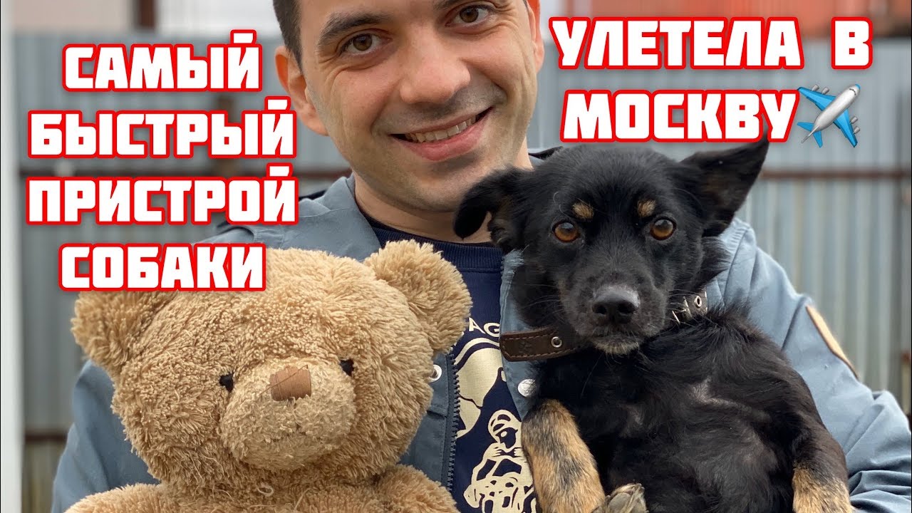 Две машины в семье