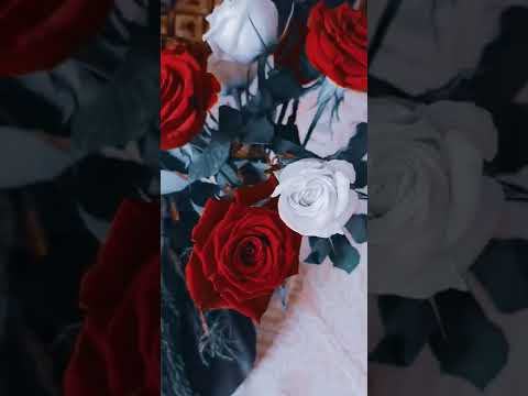 صباح الورد ترتيب الورد في مزهرية