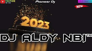 NONSTOP PARTY 2023 HAPPY NEW YEARS  BATAM ISLAND DJ ALDY NBI™ X - BALL (4K MUSIC)