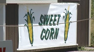 It’s Time for Sweet Corn in Brooklyn Park