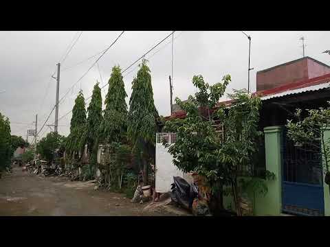 Video: Pinsala Sa Ibon