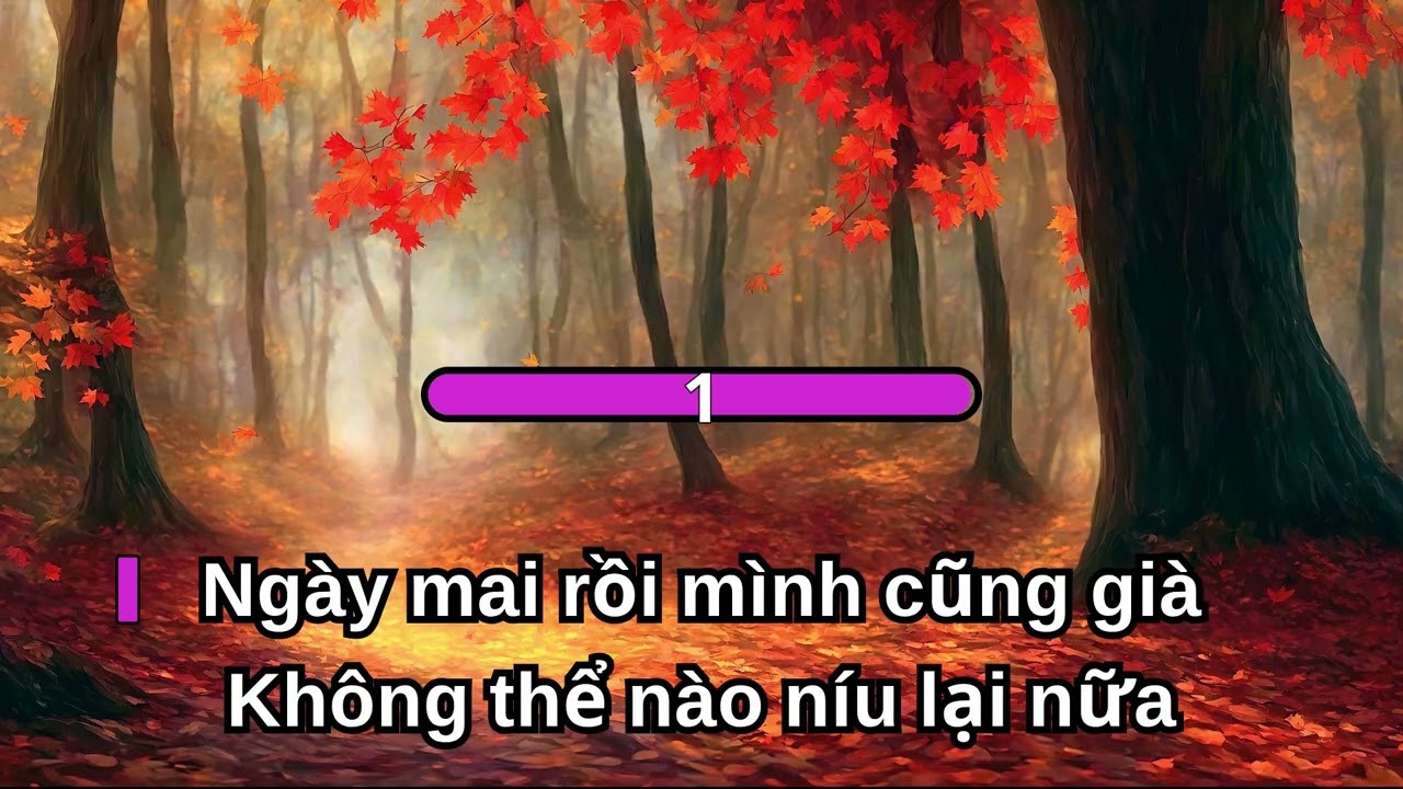 Rồi cũng già|Vũ Thành An|Karaoke acoustic tone nữ