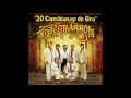 Los Hermanos Barron - 20 Cumbiones De Oro (Disco Completo)