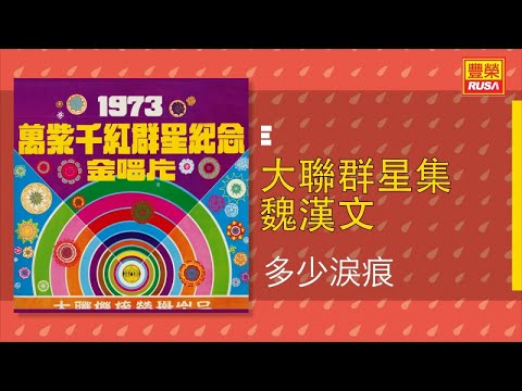 魏漢文 - 多少淚痕 - [Original Music Audio]