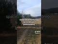 A walk in Podlasie countryside, Poland. How to buy a house in Poland?