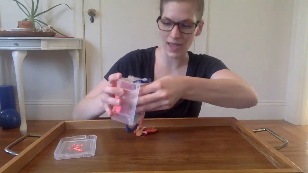 Animal Putty Rescue Fine Motor Strengthening YouTube