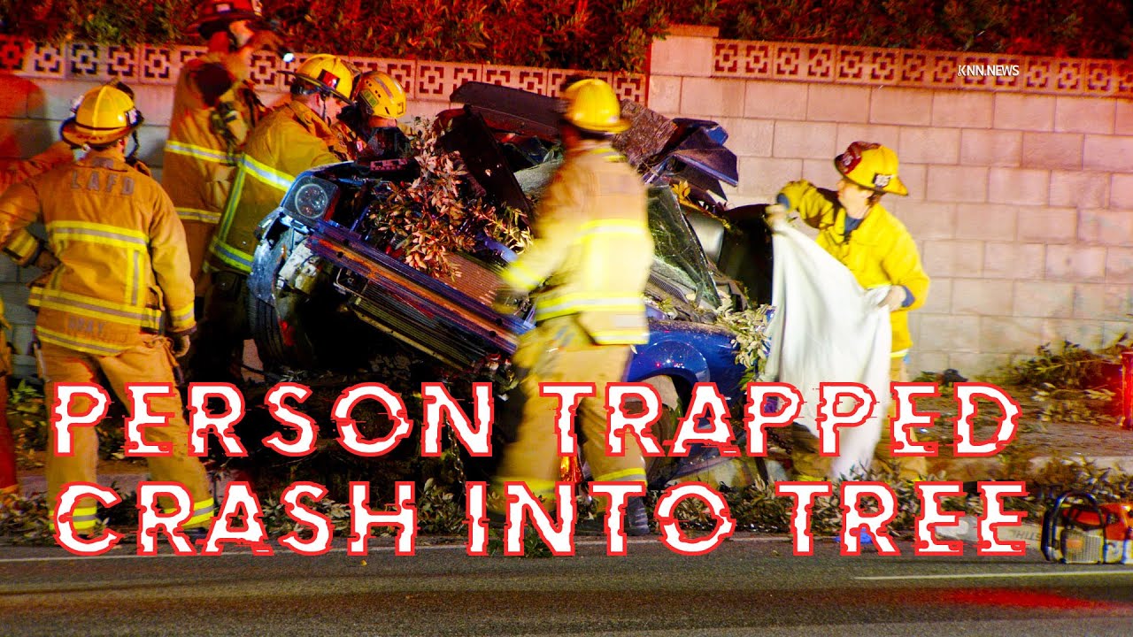 Person Trapped After Car Crashes Into Tree |1.20.26| - YouTube