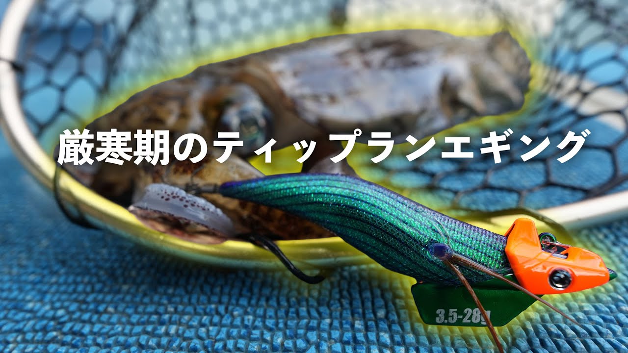 釣れるエギでアタリを出すティップランエギング【エンバーメイズ】