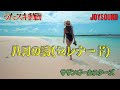 サザンオールスターズ/八月の詩(セレナード)【うたスキ動画】
