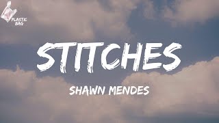 Shawn Mendes - Stitches (TikTok And now that I'm without your kisses Lyrics)