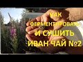 КАК ФЕРМЕНТИРОВАТЬ И СУШИТЬ ИВАН-ЧАЙ. Копорский чай. Чай из кипрея.