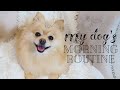 MY DOGS MORNING ROUTINE | How to take care of your Pomeranian ~ Hair & Eye stain