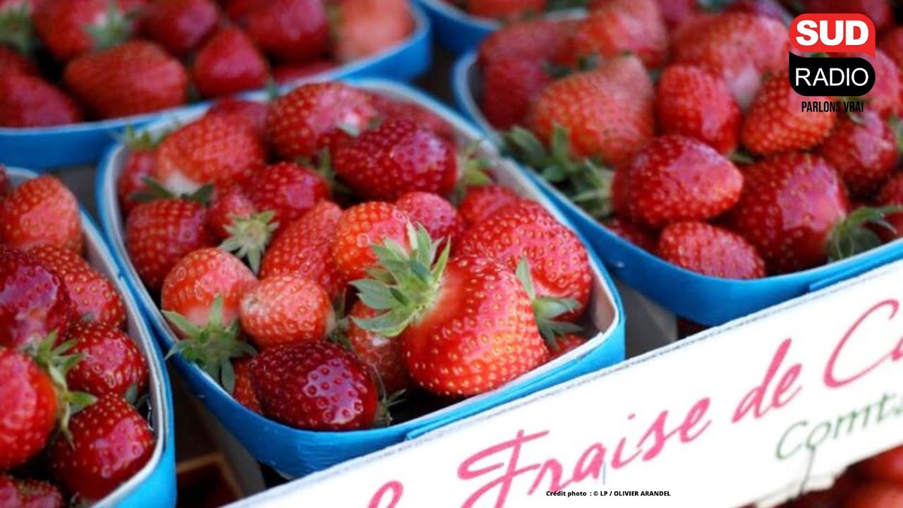 Les prix des fruits français moins chers pour cet été ?