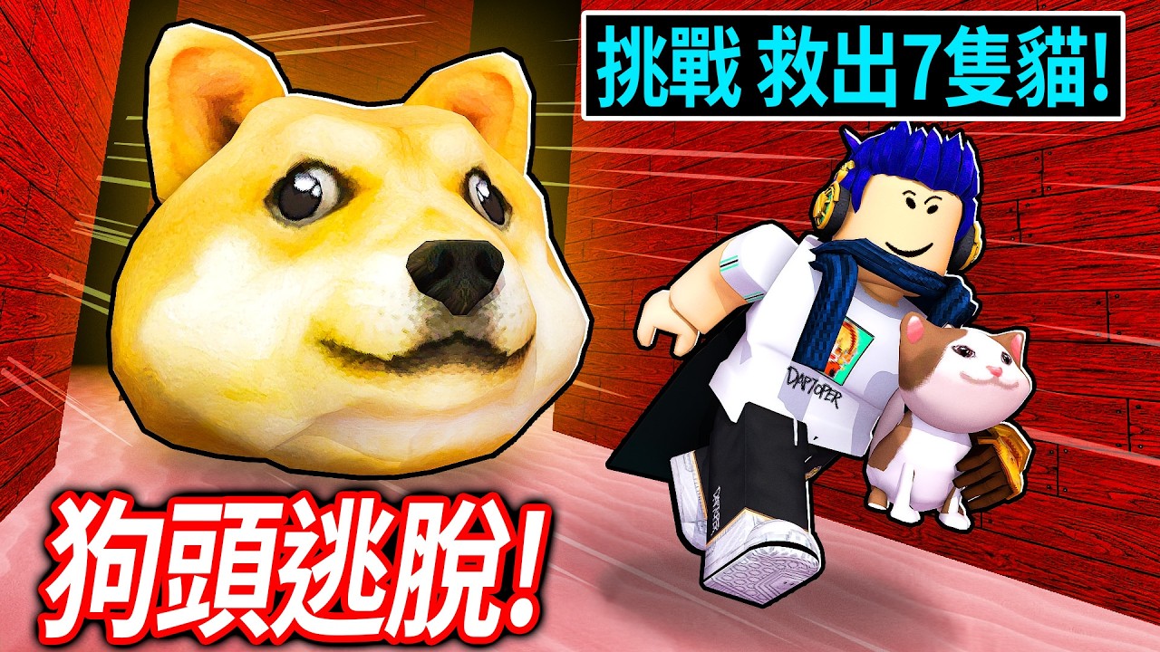 ROBLOX 巨大狗頭逃脫！我的貓貓被抓走了！你可以找到+救出所有小貓嗎?!【Doge Head Escape - 有感筆電】