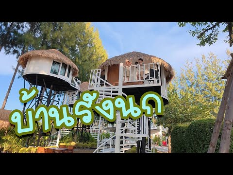 GUY GAO TV - EP.10 นอนบ้านรังนกครั้งแรก 😍🦉