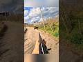 Охота на дикого кабана 2026 🔥 Идеальная быстрая стрельба #boarhunt #chasse #challenge #wildhuntlife