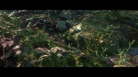 Moss Forest for UE4 4K60fps