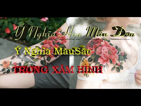 Video Ý Nghĩa Hoa Mẫu Đơn - Giải Mã Ý Nghĩa Màu Sắc Của Hoa... - youtube