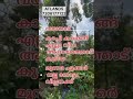 atlands wayanad real estate വയനാട് മൂന്നര ഏക്കർ തോട്ടം വില്പനക്ക് വിളിക്കു 7306177122#wayanad