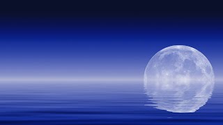 Sleep Music With Ocean and Jungle Sounds – Relaxing Blue Screen Scene – Ocean and Full Moon