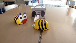 BeeBot Box Tango Dance