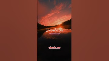 سورة المومنون #القران_الكريم #اكسبلور #القرآن_الكريم #beautifulquran #ياسر_الدوسري