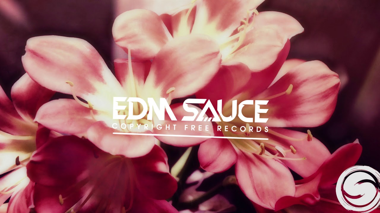 Sandose & G - Bread - Soundwave [EDM Sauce x Samsara Family]