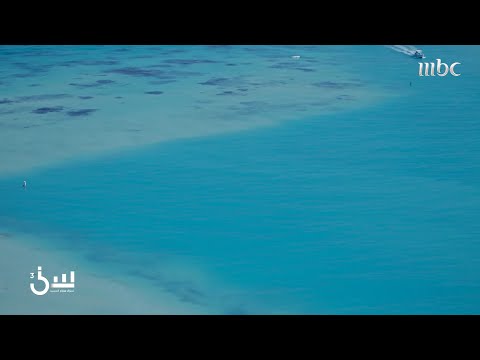 هل تعرف ما هو المصدر الذي يوفر ما يقارب ل70 من الأكسجين للكرة الأرضية