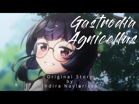Untuk kamu dengar sebelum tidur #1 Gastrodia Agnicellus