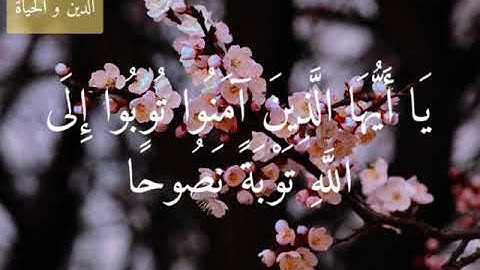 سورة التحريم - الآية ( ٨ ) بصوت الشيخ فارس عباد