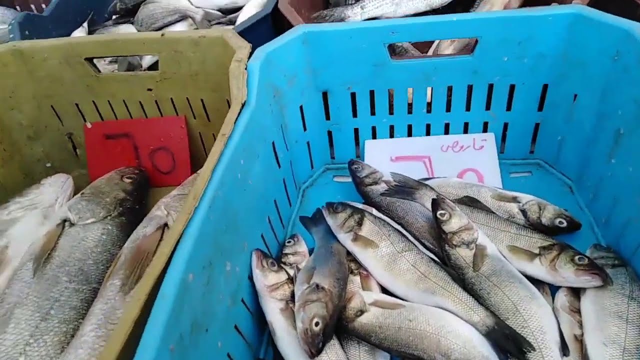 جولة بسوق البازار  ببورسعيد