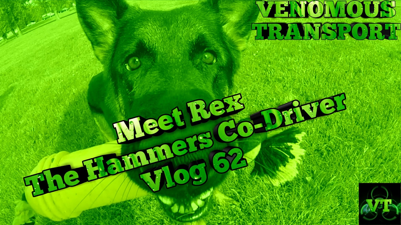 vlogs in spanish Meet The Famous Rex. (Vlog 62)