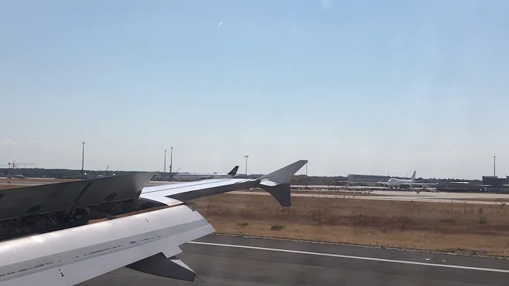 Lufthansa Airbus A319 Sunny Arrival at Frankfurt Airport FRA