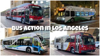 Bus Action In Los Angeles (1/15/20)