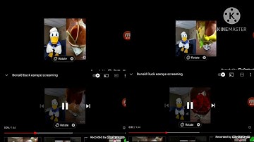 DonaldDucc Tik Tok Up To faster 4 Parison