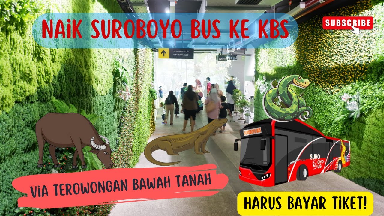 Cara Terbaru Naik Suroboyo Bus ke Kebun Binatang Surabaya dari Bungurasih via Terowongan Bawah Tanah